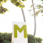 A Stylish Florida Affair A Stylish Florida Affair